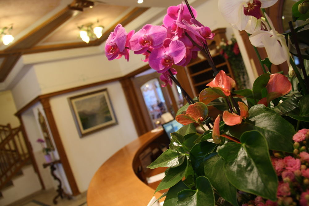 Ariston Lake View Hotel Molveno Exterior foto